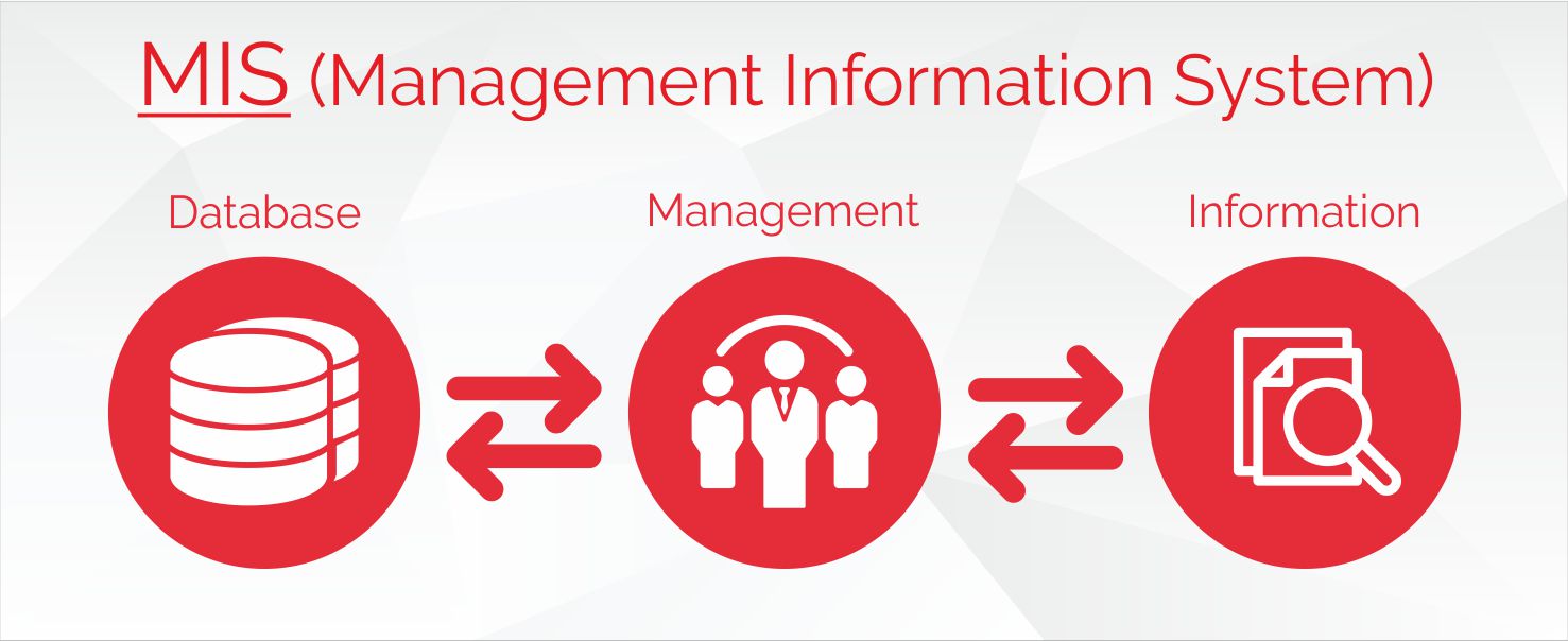 A Report On Management Information System